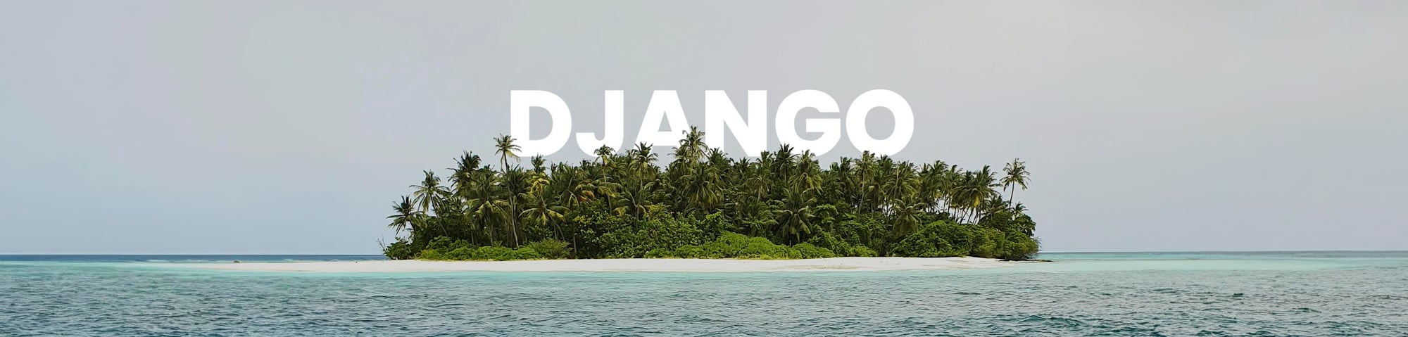 Django_LP Banner