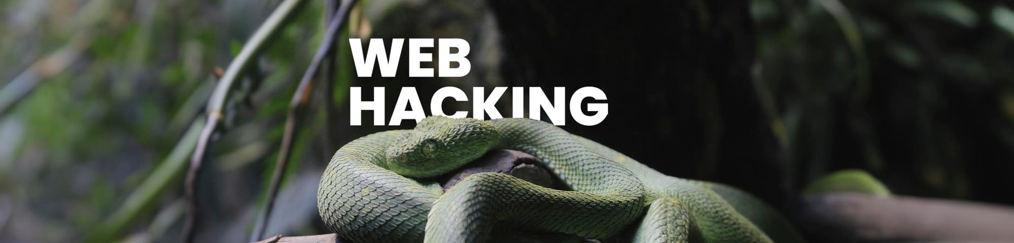 Web Hacking_LP Banner